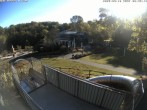 Archiv Foto Webcam Sommerrodelbahn und Freizeitzentrum Peterberg 07:00