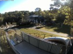Archiv Foto Webcam Sommerrodelbahn und Freizeitzentrum Peterberg 07:00