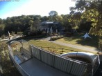 Archiv Foto Webcam Sommerrodelbahn und Freizeitzentrum Peterberg 07:00