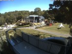 Archiv Foto Webcam Sommerrodelbahn und Freizeitzentrum Peterberg 11:00