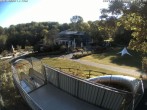 Archived image Webcam Coaster at Peterberg 07:00