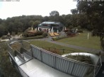 Archiv Foto Webcam Sommerrodelbahn und Freizeitzentrum Peterberg 11:00