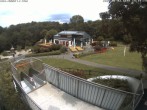 Archiv Foto Webcam Sommerrodelbahn und Freizeitzentrum Peterberg 13:00
