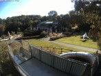 Archiv Foto Webcam Sommerrodelbahn und Freizeitzentrum Peterberg 08:00