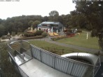 Archiv Foto Webcam Sommerrodelbahn und Freizeitzentrum Peterberg 11:00