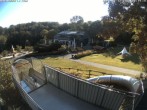 Archiv Foto Webcam Sommerrodelbahn und Freizeitzentrum Peterberg 07:00