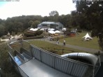 Archiv Foto Webcam Sommerrodelbahn und Freizeitzentrum Peterberg 11:00