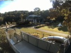Archiv Foto Webcam Sommerrodelbahn und Freizeitzentrum Peterberg 07:00