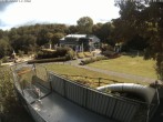 Archiv Foto Webcam Sommerrodelbahn und Freizeitzentrum Peterberg 09:00