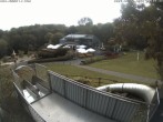 Archiv Foto Webcam Sommerrodelbahn und Freizeitzentrum Peterberg 07:00