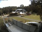 Archiv Foto Webcam Sommerrodelbahn und Freizeitzentrum Peterberg 09:00