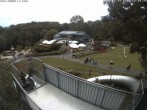 Archiv Foto Webcam Sommerrodelbahn und Freizeitzentrum Peterberg 11:00