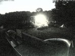 Archiv Foto Webcam Sommerrodelbahn und Freizeitzentrum Peterberg 03:00