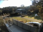 Archiv Foto Webcam Sommerrodelbahn und Freizeitzentrum Peterberg 07:00