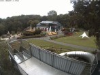 Archiv Foto Webcam Sommerrodelbahn und Freizeitzentrum Peterberg 09:00