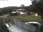Archiv Foto Webcam Sommerrodelbahn und Freizeitzentrum Peterberg 11:00