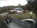 Archiv Foto Webcam Sommerrodelbahn und Freizeitzentrum Peterberg 13:00