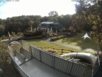 Archiv Foto Webcam Sommerrodelbahn und Freizeitzentrum Peterberg 07:00