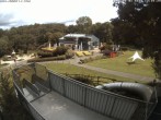 Archiv Foto Webcam Sommerrodelbahn und Freizeitzentrum Peterberg 11:00