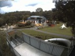 Archiv Foto Webcam Sommerrodelbahn und Freizeitzentrum Peterberg 13:00