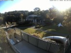 Archiv Foto Webcam Sommerrodelbahn und Freizeitzentrum Peterberg 07:00
