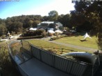 Archiv Foto Webcam Sommerrodelbahn und Freizeitzentrum Peterberg 09:00