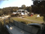 Archiv Foto Webcam Sommerrodelbahn und Freizeitzentrum Peterberg 11:00
