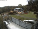 Archiv Foto Webcam Sommerrodelbahn und Freizeitzentrum Peterberg 08:00