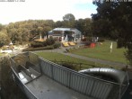 Archiv Foto Webcam Sommerrodelbahn und Freizeitzentrum Peterberg 11:00