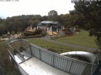 Archiv Foto Webcam Sommerrodelbahn und Freizeitzentrum Peterberg 08:00