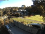 Archiv Foto Webcam Sommerrodelbahn und Freizeitzentrum Peterberg 09:00