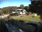 Archiv Foto Webcam Sommerrodelbahn und Freizeitzentrum Peterberg 11:00