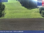 Archiv Foto Webcam Ried Tal, Kronplatz 11:00