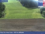 Archived image Webcam Ried Valley, Plan De Corones 11:00