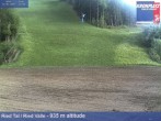 Archived image Webcam Ried Valley, Plan De Corones 17:00