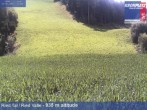 Archiv Foto Webcam Ried Tal, Kronplatz 11:00