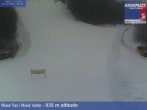 Archiv Foto Webcam Ried Tal, Kronplatz 08:00