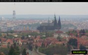 Archiv Foto Webcam Blick auf die Prager Burg mit Veitsdom 11:00
