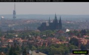 Archiv Foto Webcam Blick auf die Prager Burg mit Veitsdom 11:00
