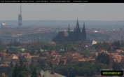 Archiv Foto Webcam Blick auf die Prager Burg mit Veitsdom 11:00