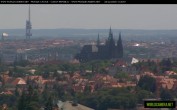 Archiv Foto Webcam Blick auf die Prager Burg mit Veitsdom 11:00
