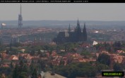 Archiv Foto Webcam Blick auf die Prager Burg mit Veitsdom 11:00