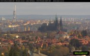Archiv Foto Webcam Blick auf die Prager Burg mit Veitsdom 11:00