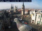 Archiv Foto Webcam Blick vom Ratshof auf den Marktplatz in Halle 11:00