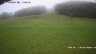 Archived image Webcam Dottingen 11:00