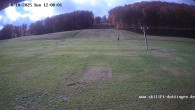 Archived image Webcam Dottingen 11:00