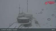 Archiv Foto Webcam Blick vom Corvatsch zum Silvaplanersee 08:00