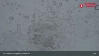 Archiv Foto Webcam Blick vom Corvatsch zum Silvaplanersee 12:00