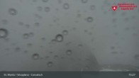 Archiv Foto Webcam Blick vom Corvatsch zum Silvaplanersee 14:00