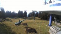 Archived image Webcam Top Station Grüsch Danusa 17:00
